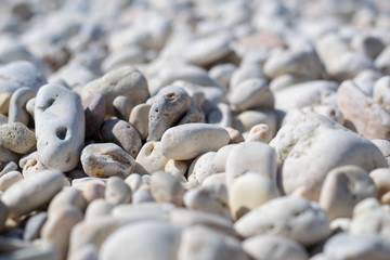 White pebbles background, soft focus