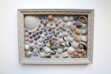Sea shells and corals inside vintage wooden frame isolated on white background from a high angle view