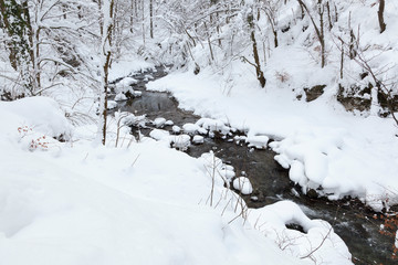 The Kamacnik River covered in deep snow, Croatia