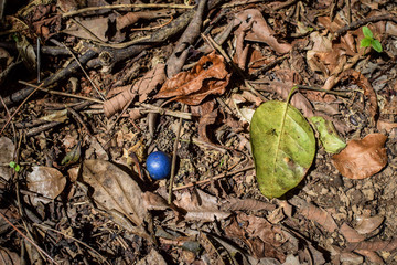 Queensland, Australia