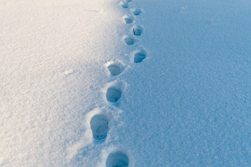 Footprints Of An Unidentified Man In The Snow. Traces of a man in deep snow.