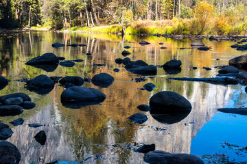 Contrast view. Black stone and colorful meadow and bushs on the river side.