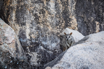 Queensland, Australia