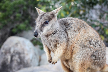 Queensland, Australia
