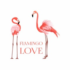 Exotic pink flamingo birds couple. Beal to beak. Heart shape. Mating season. Detailed design illustration. Valentine.