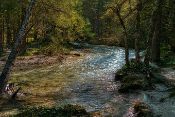 Obraz premium Dolomites Toblachsee