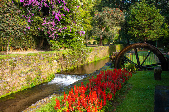 View of Dona Beatriz do Canto park, Furnas, Sao Miguel island, Azores, Portugal 
