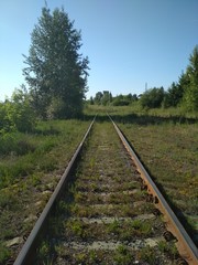 Obraz premium railway in forest