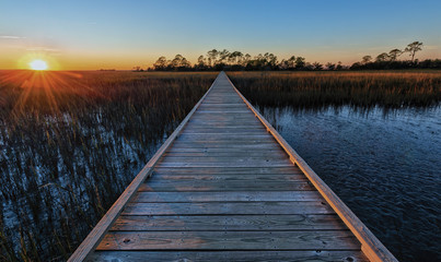 Fototapeta premium Waiting 