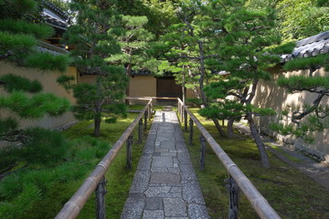 大徳寺