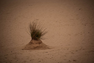 Mungo National Park, New South Wales, Australia