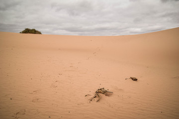 Mungo National Park, New South Wales, Australia