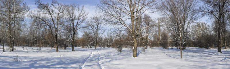 Allphotokz Taldykorgan 20200117 3592 D810