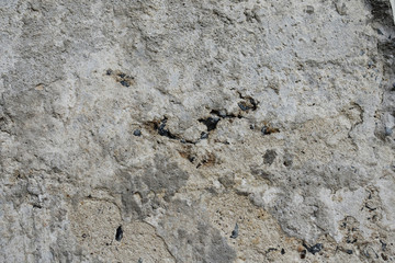 texture of stone wall