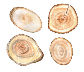 Watercolor slices of wood. Wooden saw cuts.