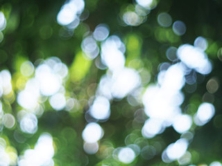 Natural bokeh. Green light bokeh nature background. Abstract blurred background.