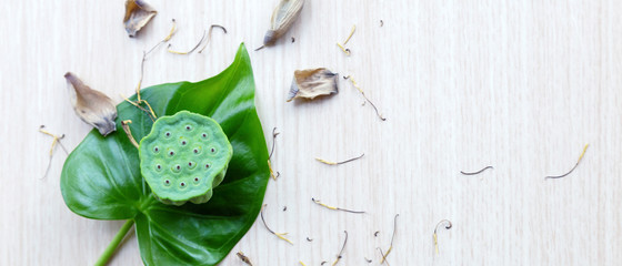 green lotus on wood background