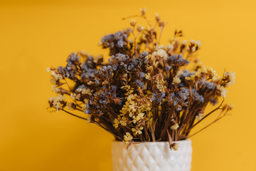 Dried wildflowers. Many tiny blue and yellow flowers in a white vase. Bouquet on a yellow background.