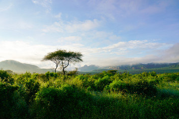 Landschaftsbilder aus dem Nationalpark Tsavo Ost Tsavo West und Amboseli