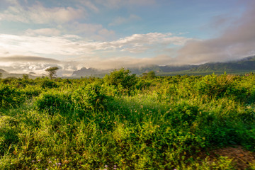 Landschaftsbilder aus dem Nationalpark Tsavo Ost Tsavo West und Amboseli