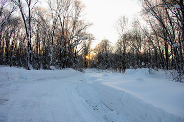 Fototapeta na wymiar A cleared snowy road in the forest. Naked trees in the evening .winter landscape