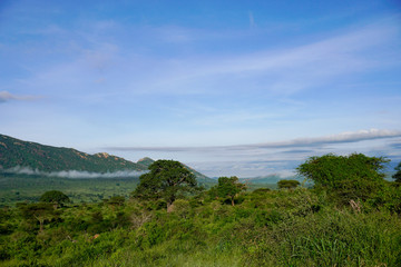 Landschaftsbilder aus dem Nationalpark Tsavo Ost Tsavo West und Amboseli