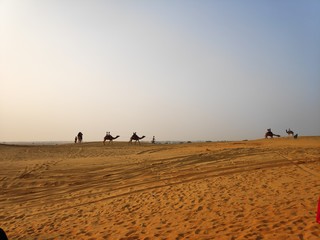 Fototapeta na wymiar Beautiful view of desert Sand dunes.Focus on desert.