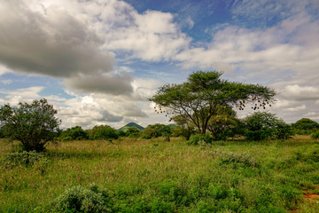 Landschaftsbilder aus dem Nationalpark Tsavo Ost Tsavo West und Amboseli
