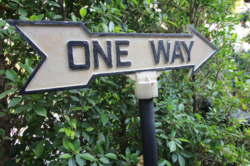One Way Sign against green leaf