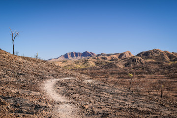 Red Centre, Northern Territory, Australia