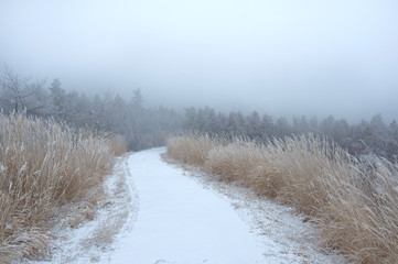 阿蘇山の冬の風景。雪山。