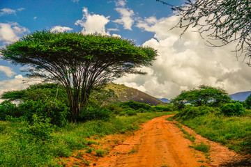 Landschaftsbilder aus dem Nationalpark Tsavo Ost Tsavo West und Amboseli