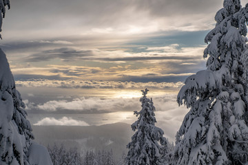Beautiful view from mountain top with  clouds and ocean views during sunset in Canada Vancouver cypress mountain 