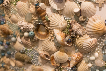 decorations made from different shape and color seashells.