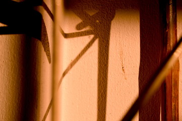 Abstract shadow of wrought iron gates