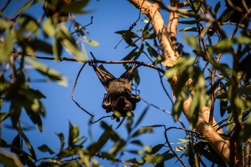 Kakadu National Park, Northern Territory, Australia