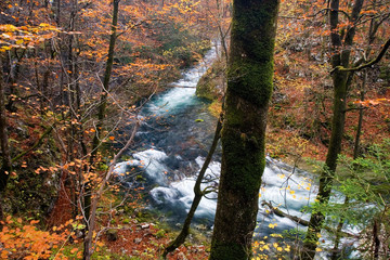 Autumn on the Kamačnik River, Croatia