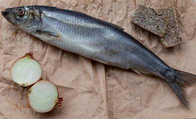 Salted fish - herring with onions, buckwheat bread and herbs, on a wooden board and white...