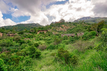 Landschaftsbilder aus dem Nationalpark Tsavo Ost Tsavo West und Amboseli