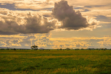 Landschaftsbilder aus dem Nationalpark Tsavo Ost Tsavo West und Amboseli