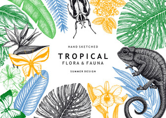 Tropical frame design. Vector background with hand drawn tropical plants, exotic flowers, palm leaves, insects and chameleon. Vintage wildlife banner. Summer template with tropical plants and animals. © sketched-graphics