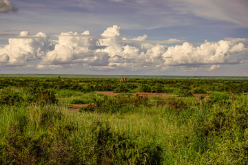 Landschaftsbilder aus dem Nationalpark Tsavo Ost Tsavo West und Amboseli