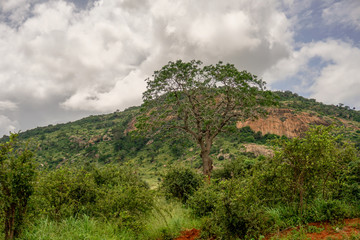 Landschaftsbilder aus dem Nationalpark Tsavo Ost Tsavo West und Amboseli