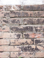 Naklejka premium the brick is old painted and the paint