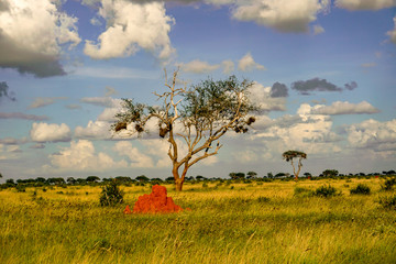 Landschaftsbilder aus dem Nationalpark Tsavo Ost Tsavo West und Amboseli