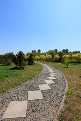 Stone Roads and Greening Plants in Parks