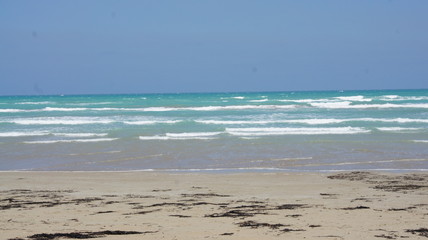 Beautiful beach in Summer