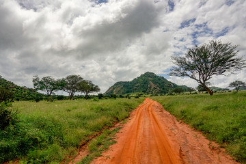 Landschaftsbilder aus dem Nationalpark Tsavo Ost Tsavo West und Amboseli