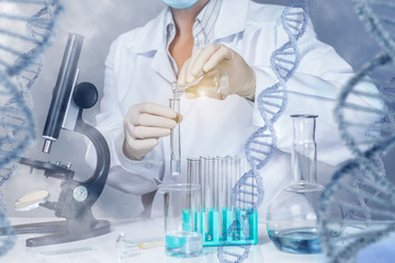 Fototapeta premium The concept of research and study DNA .