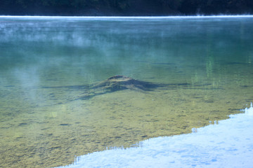 九頭竜湖　湖沼霧